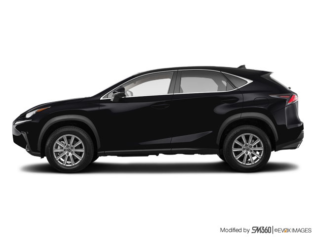 2020 Lexus NX