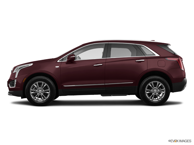 Steele Cadillac Saint John The 2022 Cadillac Xt5 Premium Luxury Awd