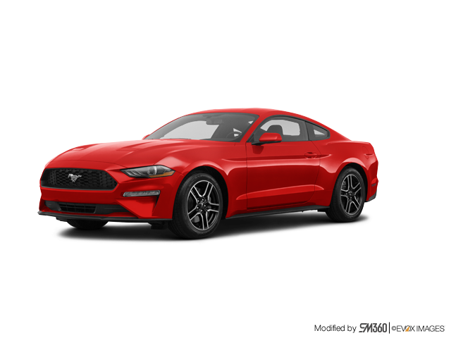 2023 FORD MUSTANG FASTBACK ECOBOOST PREMIUM
