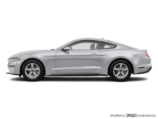 Stockfish Ford | The 2023 Mustang Fastback EcoBoost