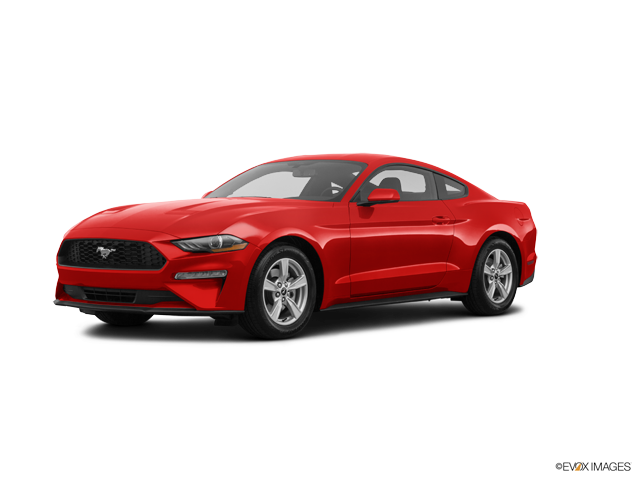 FORD MUSTANG FASTBACK ECOBOOST 2023
