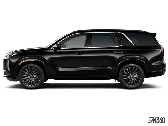 Hyundai Palisade Ultimate Calligraphy Night 2025