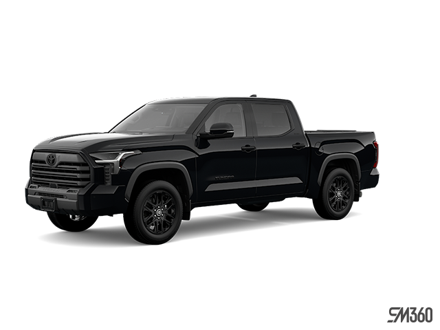 【残りわずか】 2025 Toyota Tundra LIMITED NIGHTSHADE | #25099 | Angers マジック：ザ・ギャザリング
