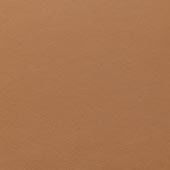 Defender 110 - Caraway Windsor Leather (304NH)