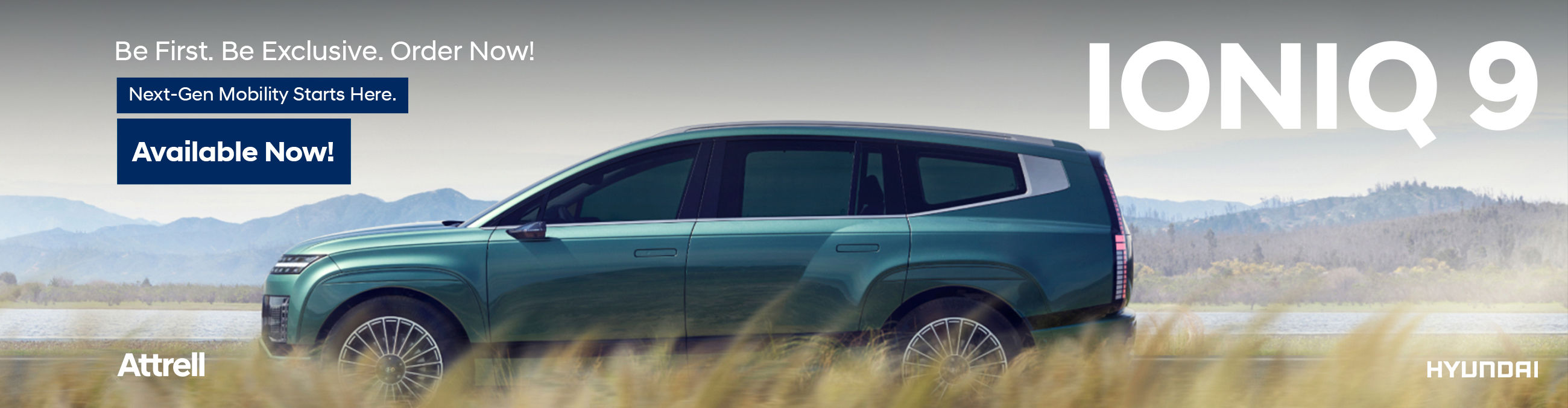 Ioniq 9