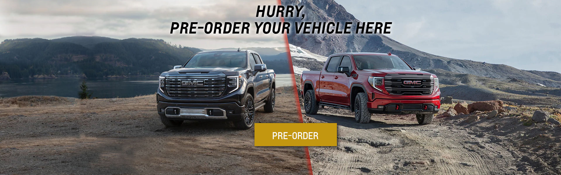 Pre-order your car