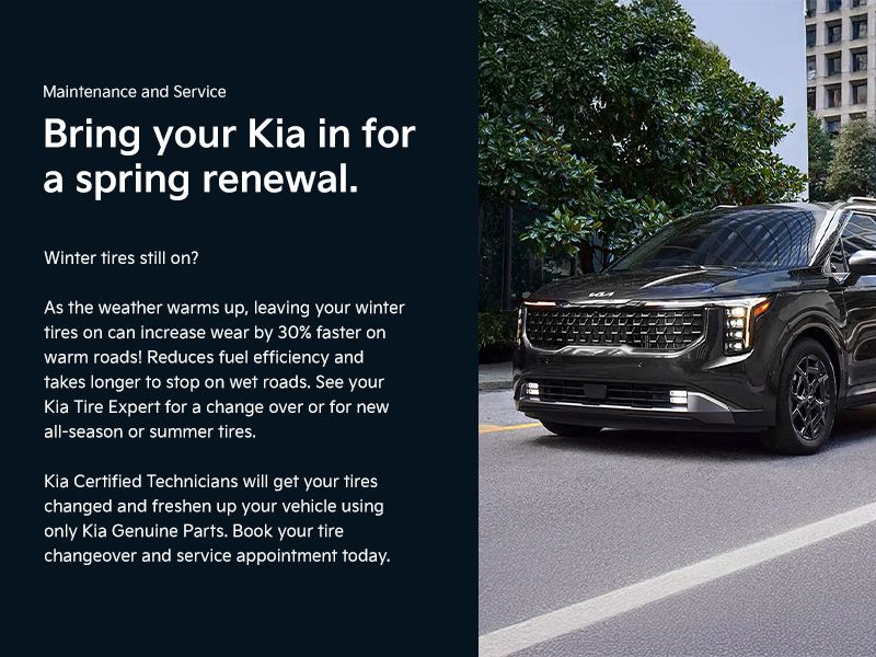 Maintenance and Service