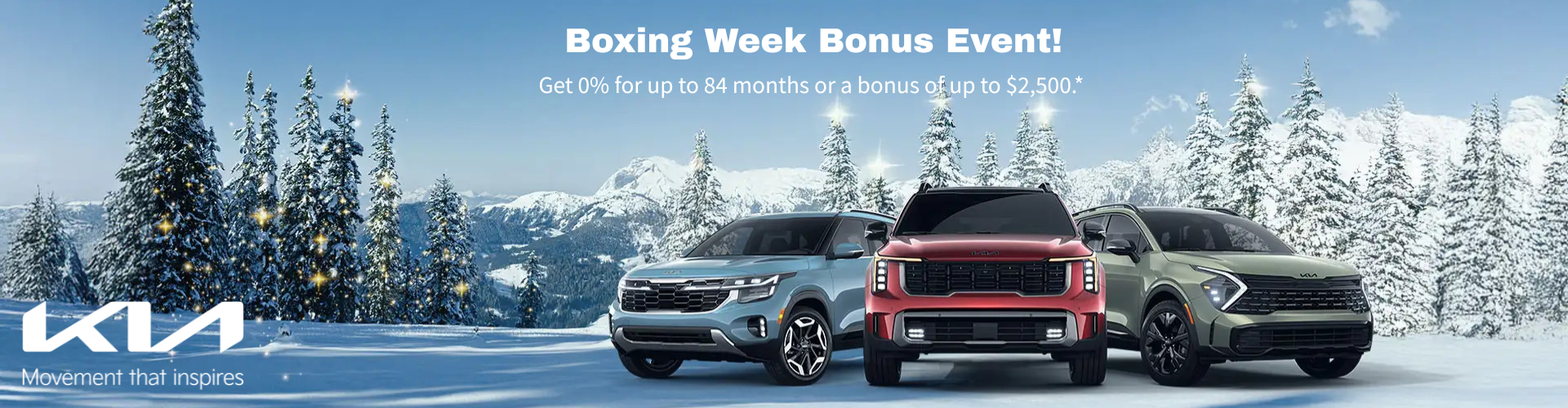 Boxing Week Sale (banner)