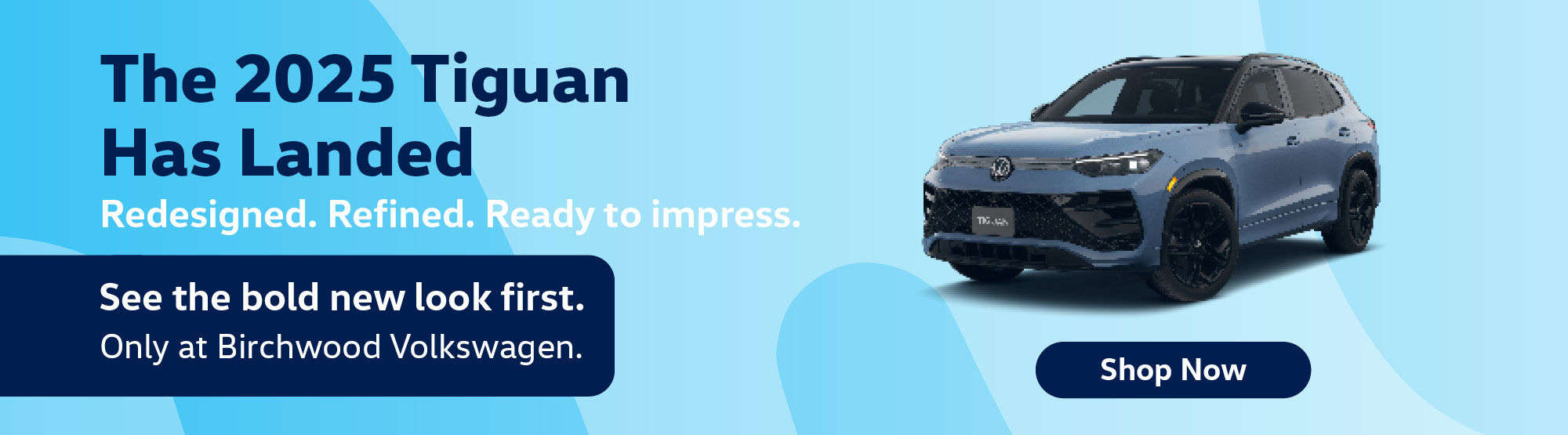 2025 Tiguan