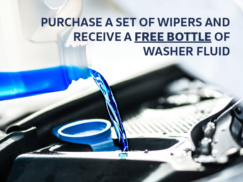 Washer Fluid Offer