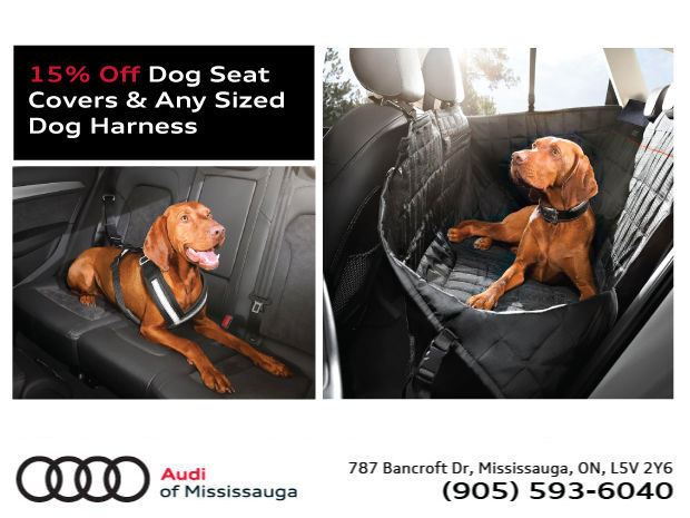 audi protective rear seat pet cover