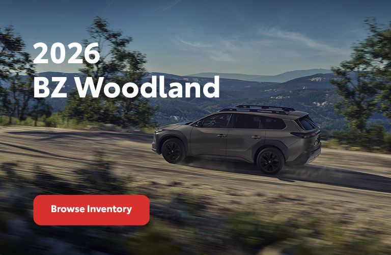 BZ Woodland