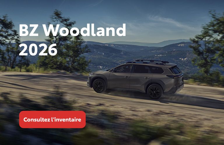 BZ Woodland