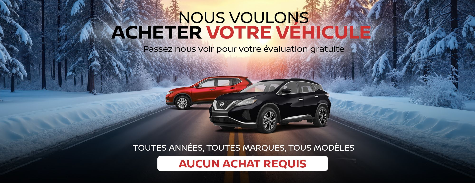 Nous voulons acheter votre voiture.