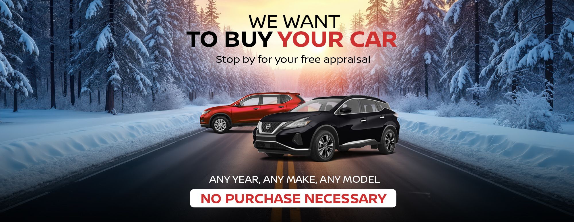 We Want To Buy Your Car