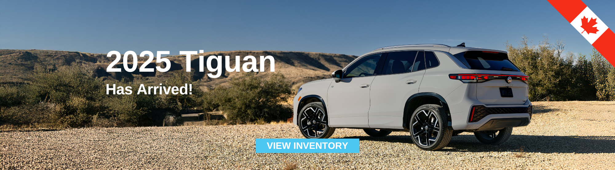 2025 Tiguan