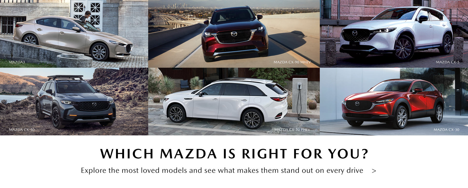 Discover Your Perfect Match