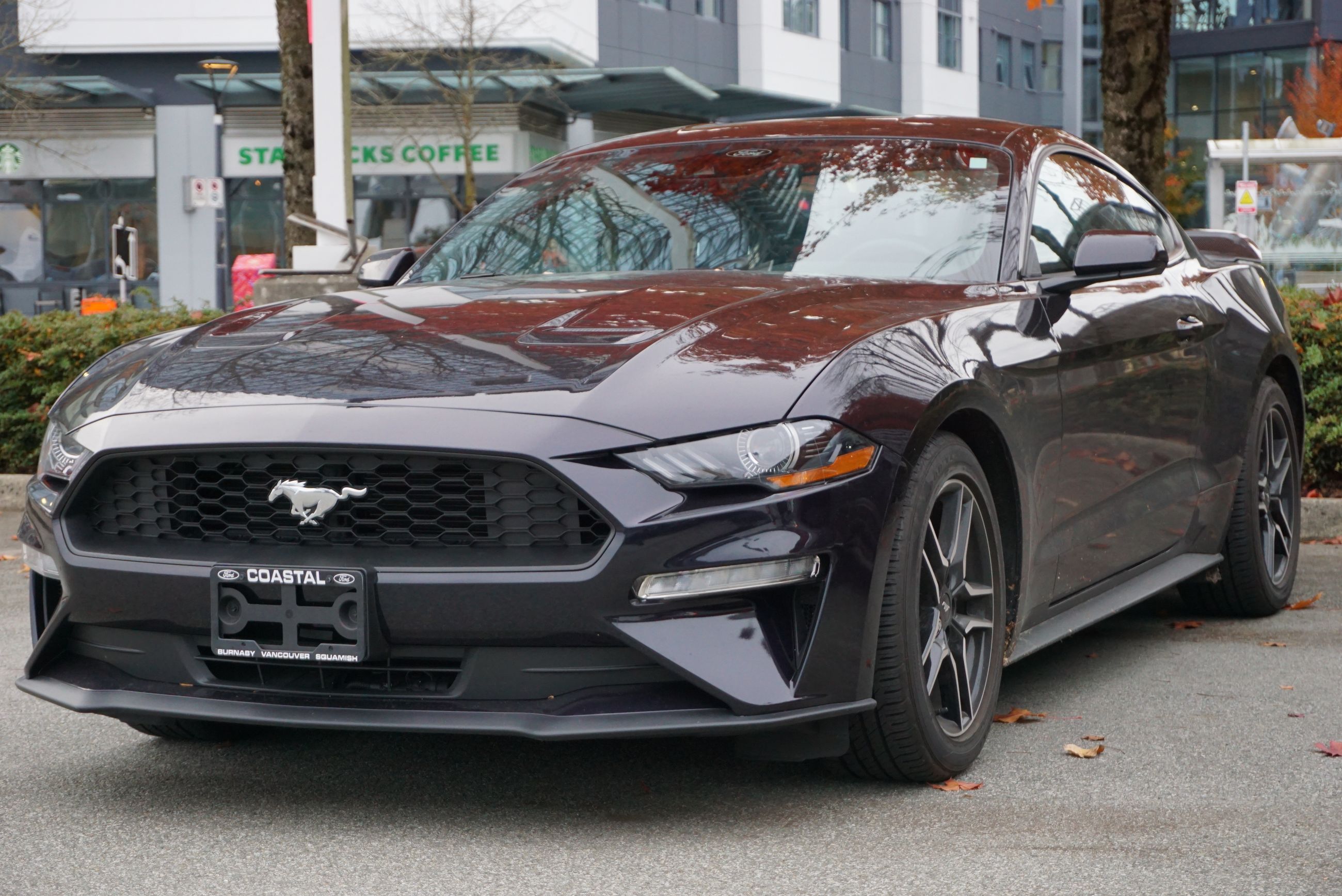 Own this 2023 Ford Mustang EcoBoost for $250 bi-weekly*