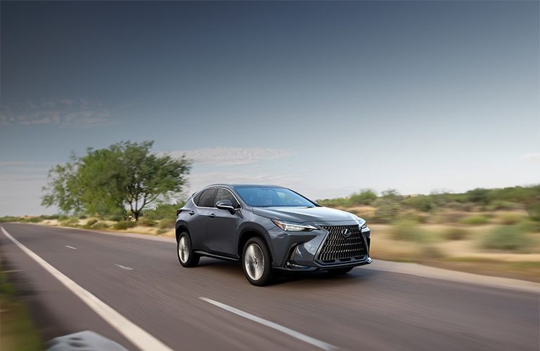 2025 NX