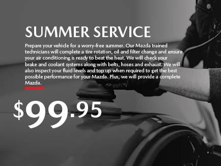 Summer Service: $99.95