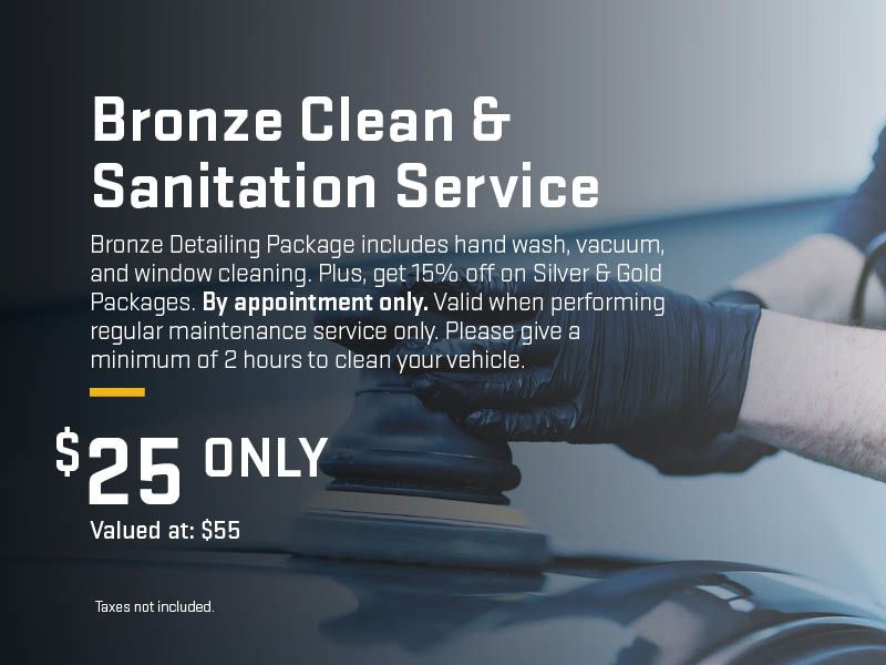 Bronze Clean and Sanitation Service