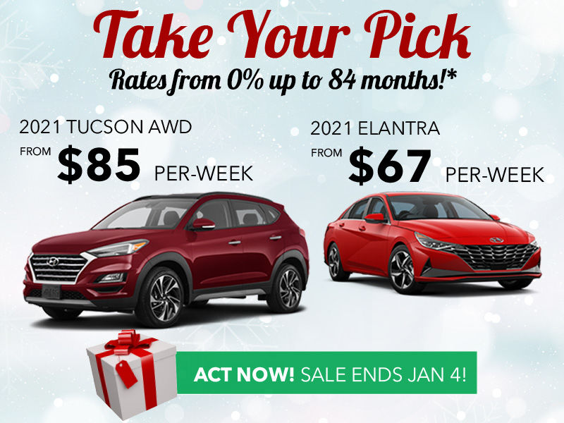 YEAR-END SALES EVENT - TAKE YOUR PICK