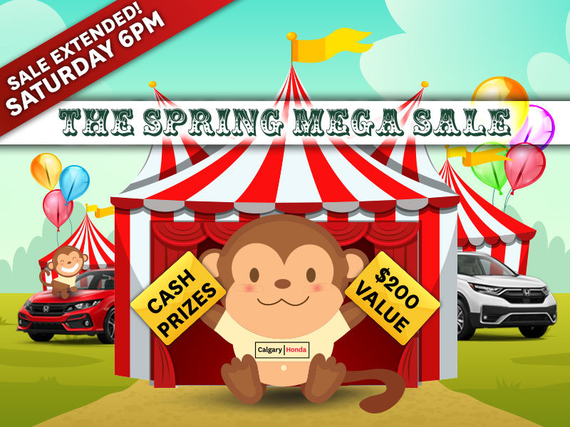THE SPRING MEGA SALE! EXTENDED!