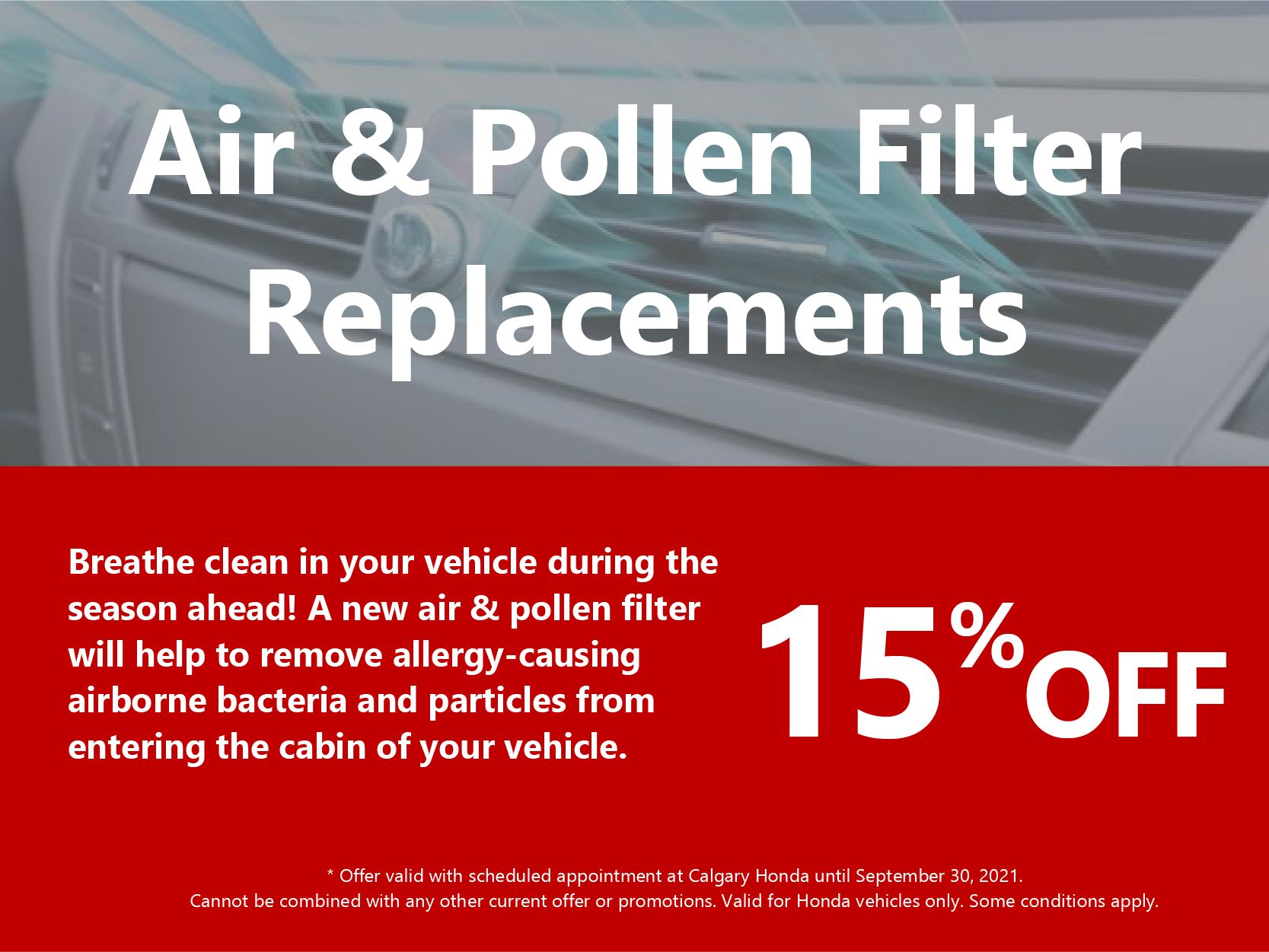 Air & Pollen Filter Replacements