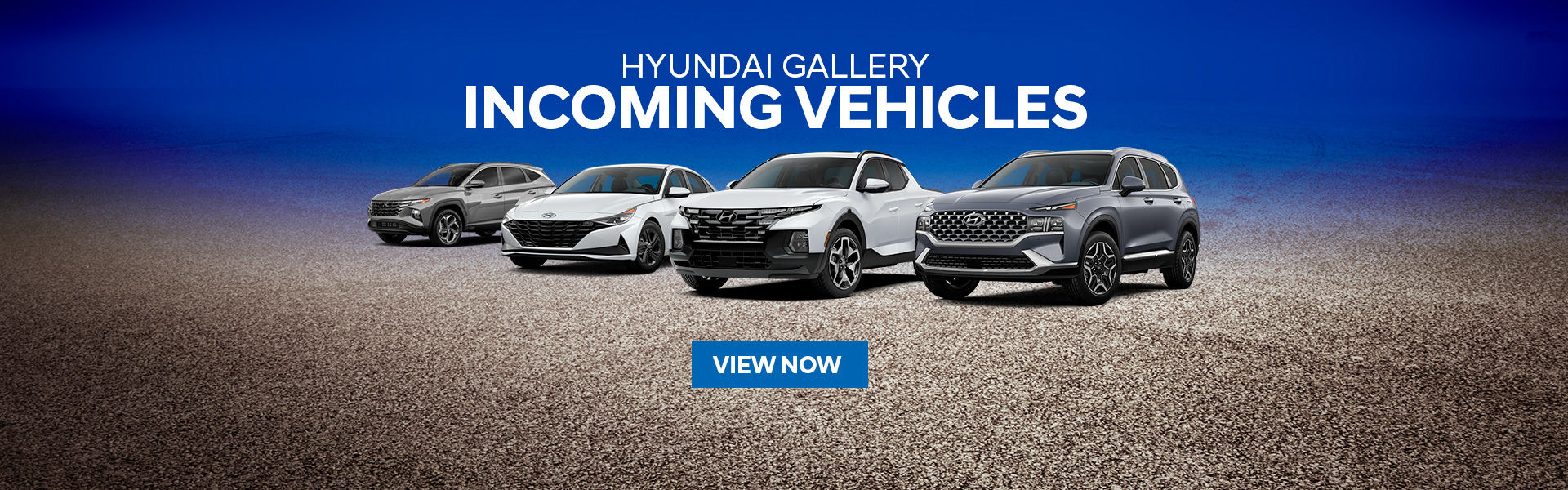 New & Used Hyundai Dealership in Calgary | Hyundai Gallery