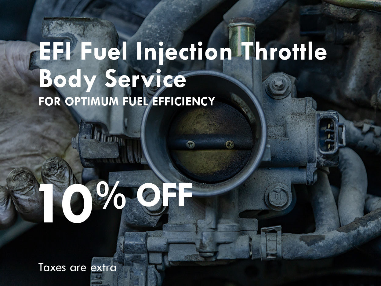 EFI Fuel Injection Throttle Body Service