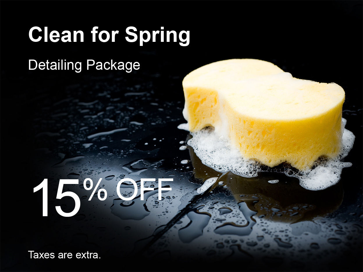 Clean for Spring Special