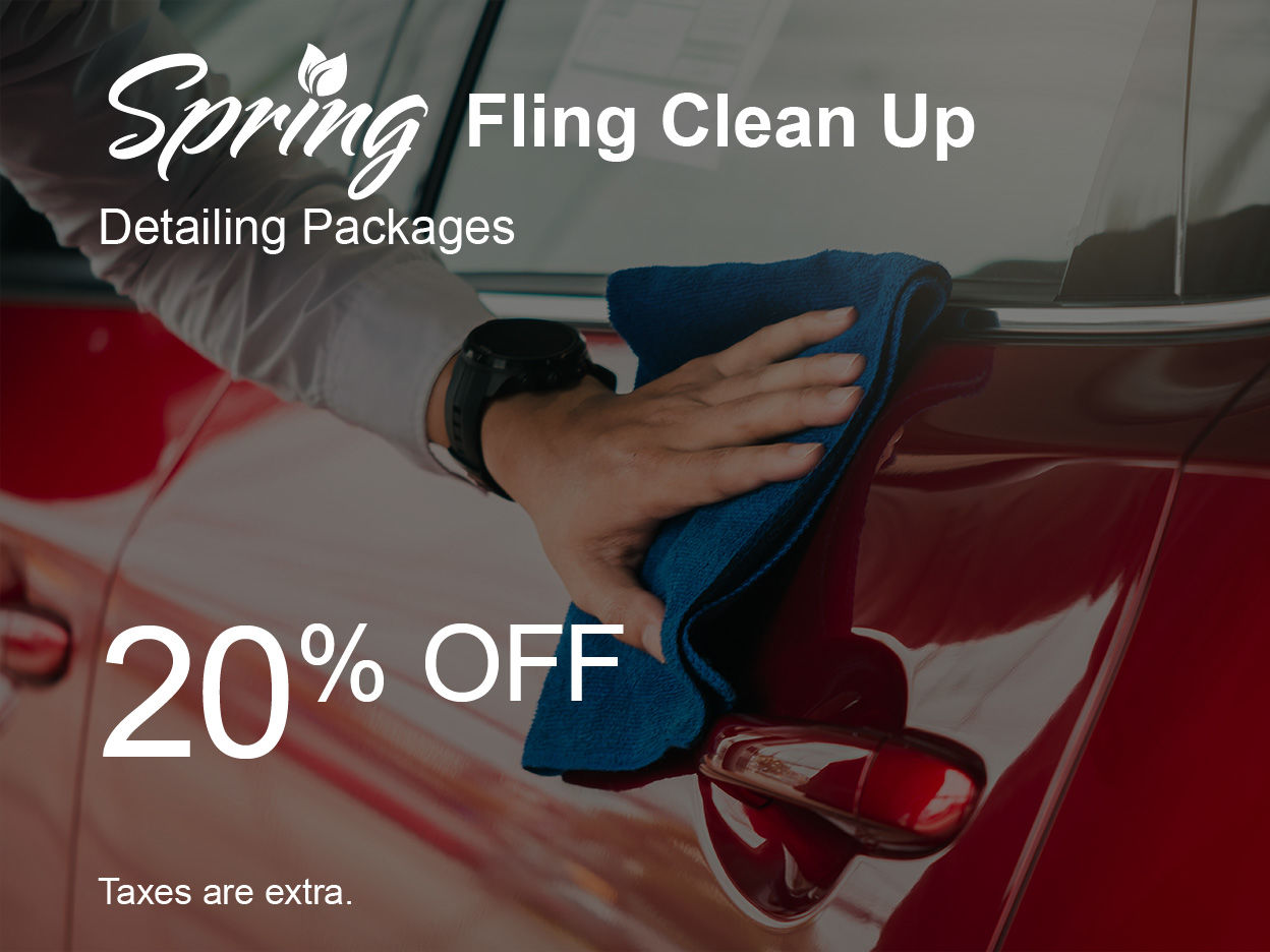 Spring Fling Clean Up Special
