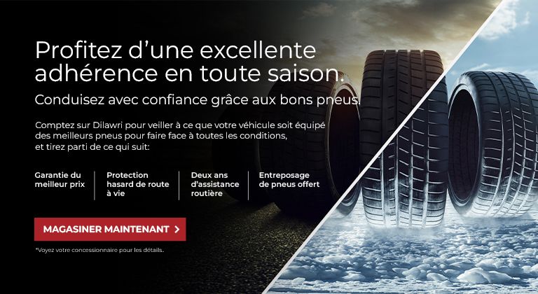 Profitez d'une excellente adhérence en tout saison
