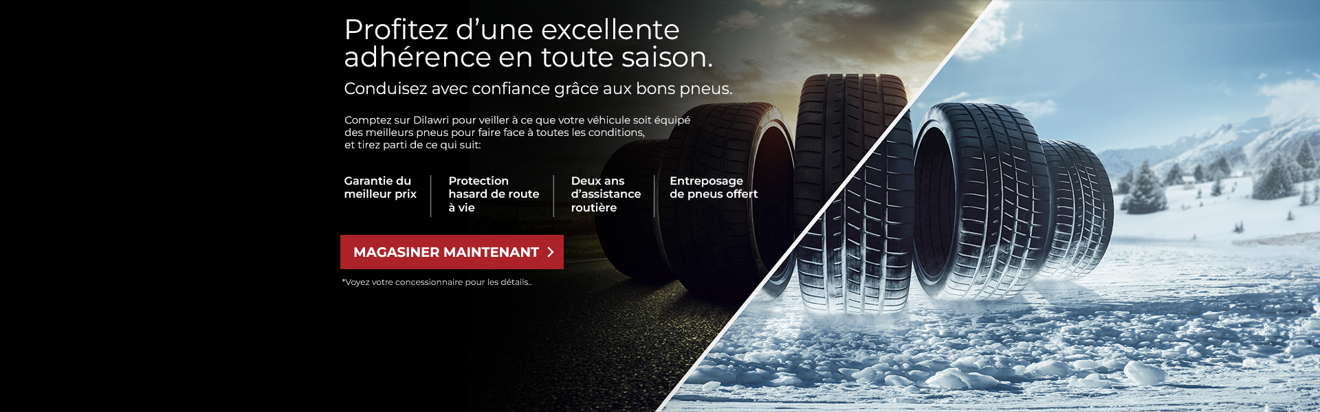 Profitez d'une excellente adhérence en tout saison