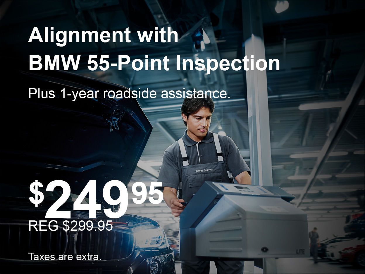 Alignment + 55-Point Inspection Special