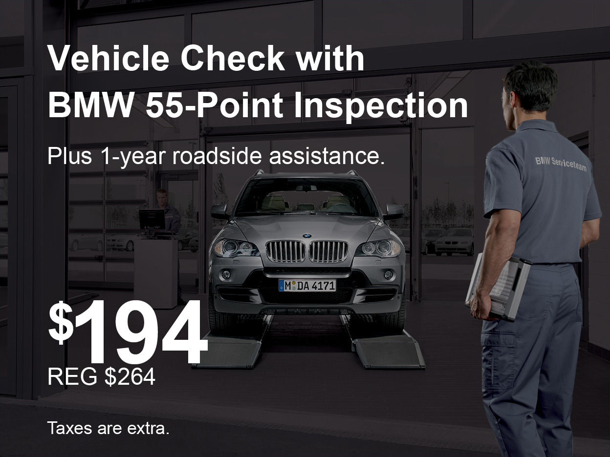Vehicle Check + 55-Point Inspection Special