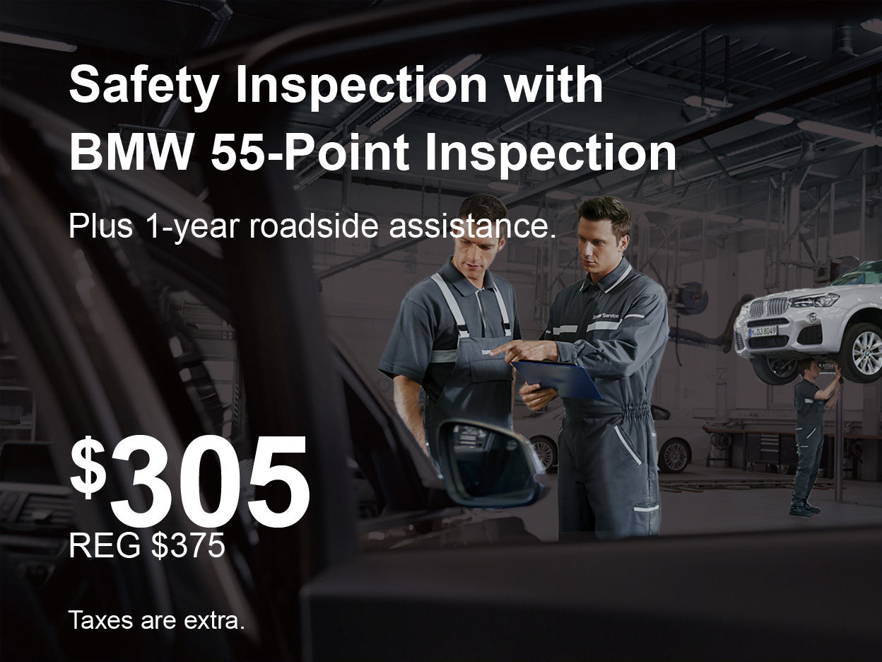 Safety Inspection + 55-Point Inspection Special