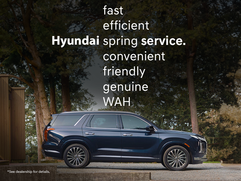 Hyundai Spring Service