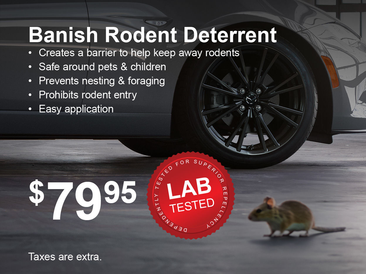 Rodent Deterrent Solution Special