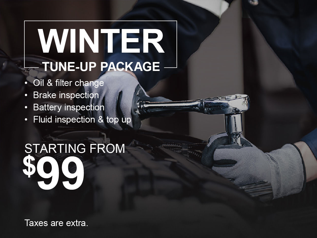 Winter Tune Up Package Special