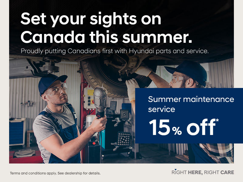 15% Off Summer maintenance service