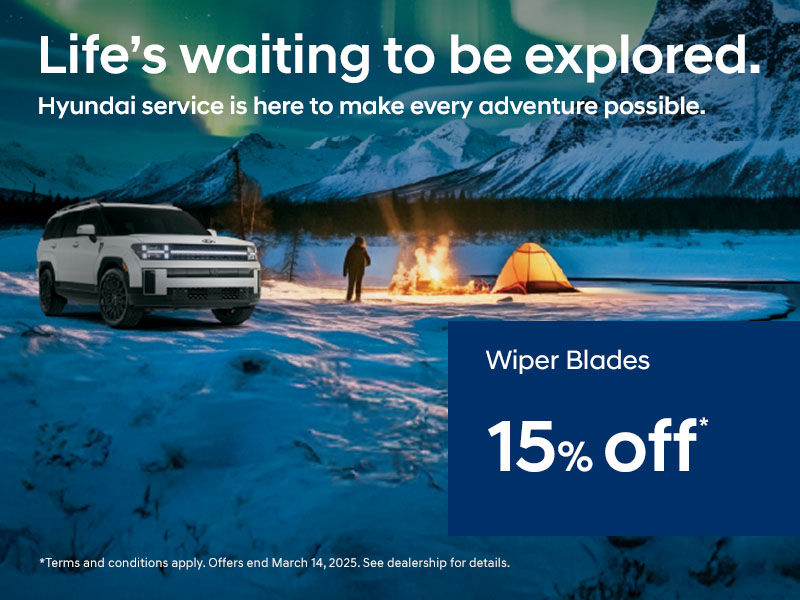 15% Off Wiper Blade