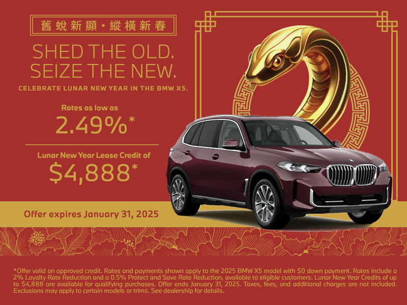 Celebrate the New Year in the BMW X5