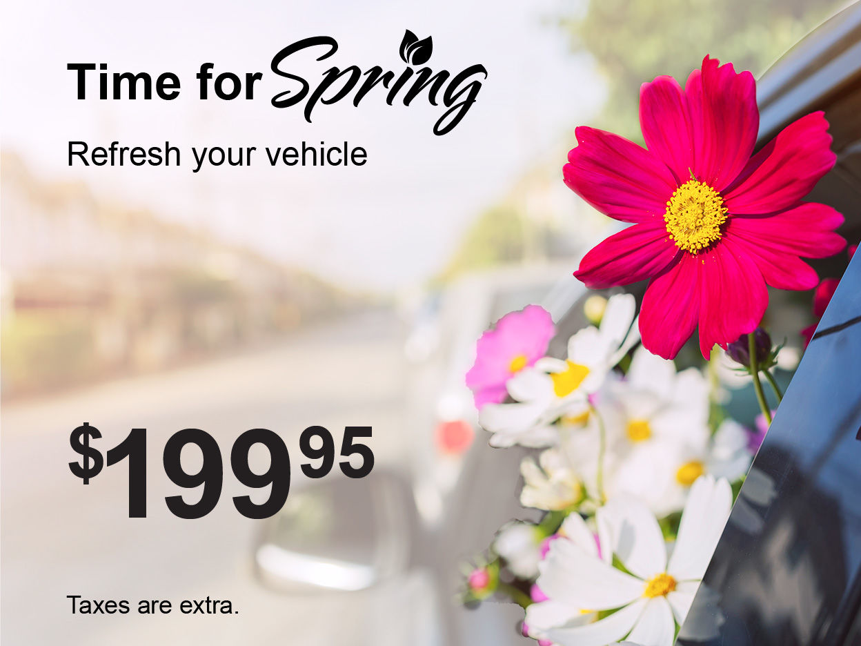 Spring Refresh Special