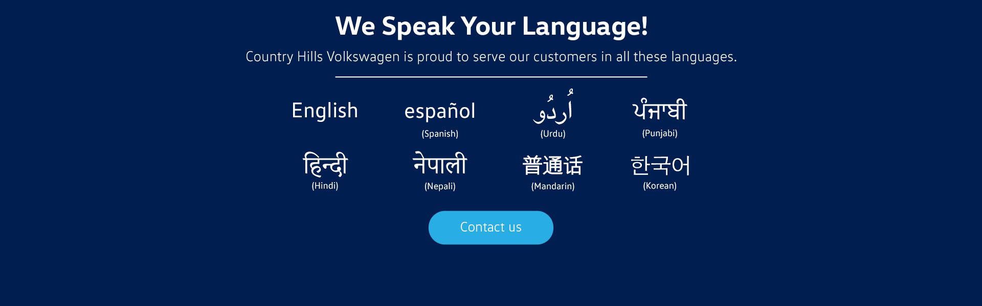 Multilingual Team