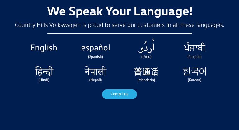 Multilingual Team