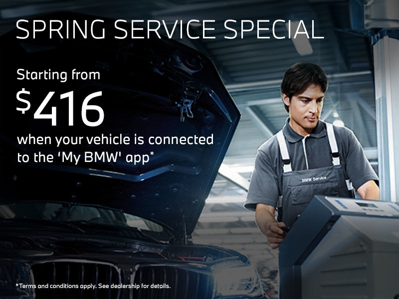 Spring Service Special