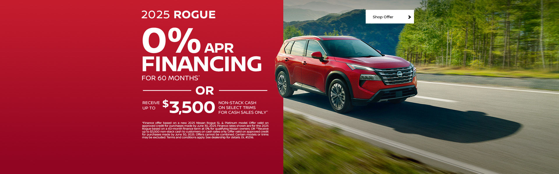 2025 Rogue