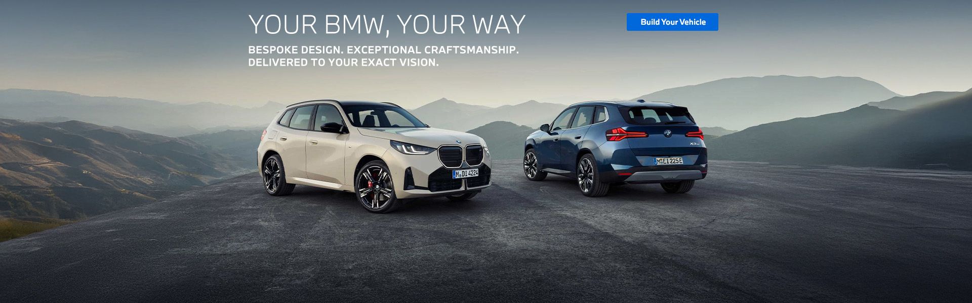 Your BMW, Your Way
