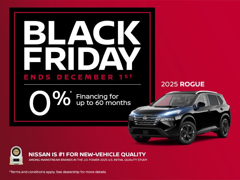 Black Friday - 2025 Rogue